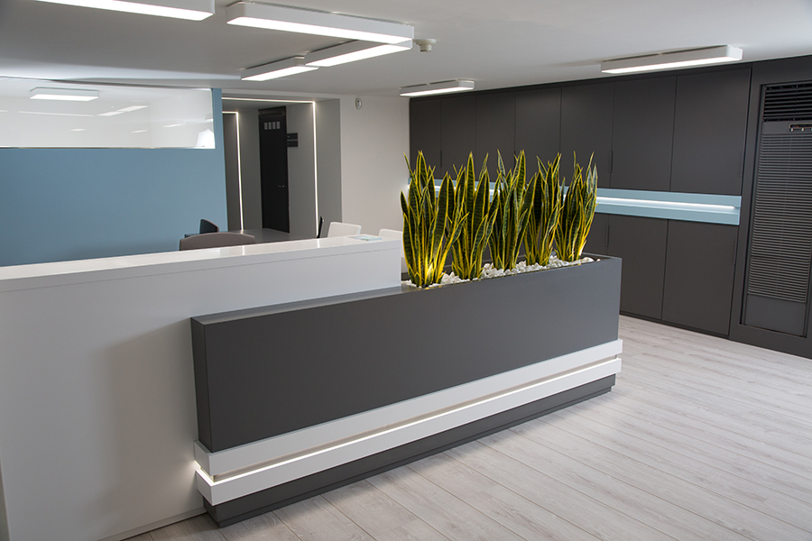 Gabinete Clínica Dental Escolano